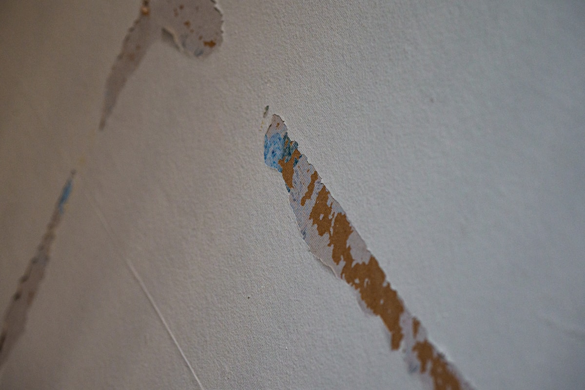 Mold Remediation service in Trenton, NJ